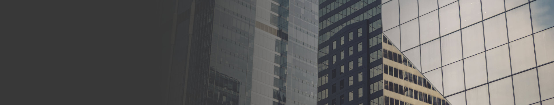 Company Vision